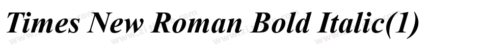 Times New Roman Bold Italic(1)字体转换